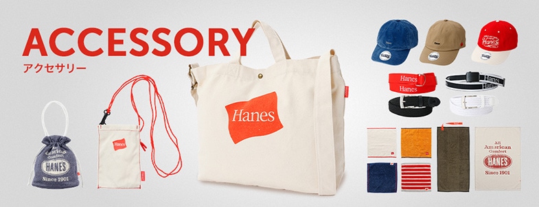 �A�N�Z�T���[