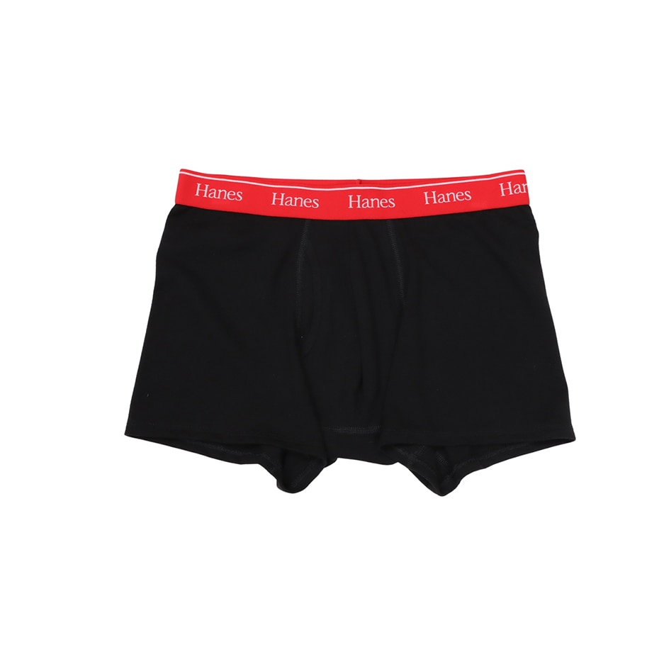 Hanes originals�R�b�g�����b�V�� �{�N�T�[�u���[�t 26SS �w�C���Y(HM6ED201)
