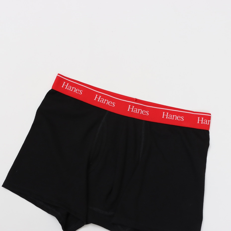 Hanes originals�R�b�g�����b�V�� �{�N�T�[�u���[�t 26SS �w�C���Y(HM6ED201)