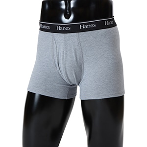 Hanes originals�R�b�g�����b�V�� �{�N�T�[�u���[�t 26SS �w�C���Y(HM6ED201)