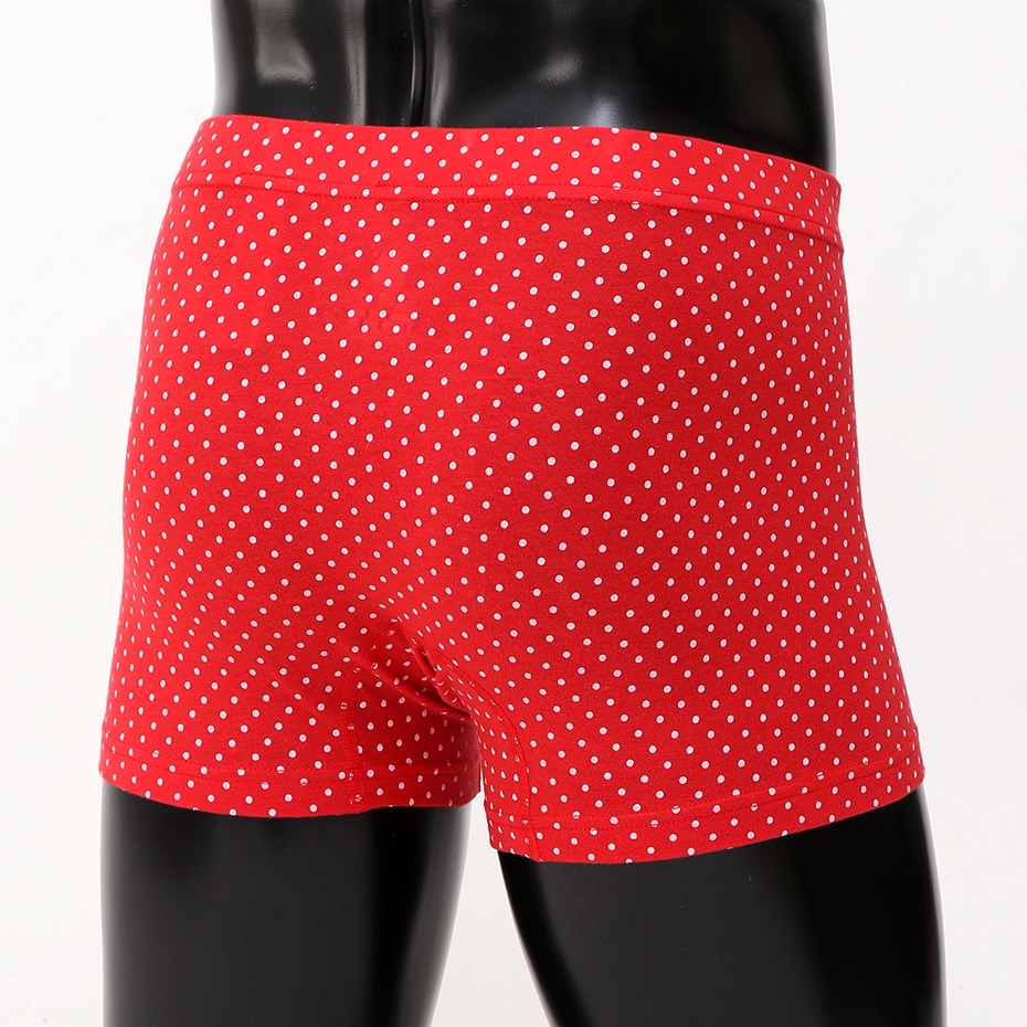モダール混 Dot柄ボクサー 19SS【春夏新作】Hanes H ヘインズ(HM6-P152)