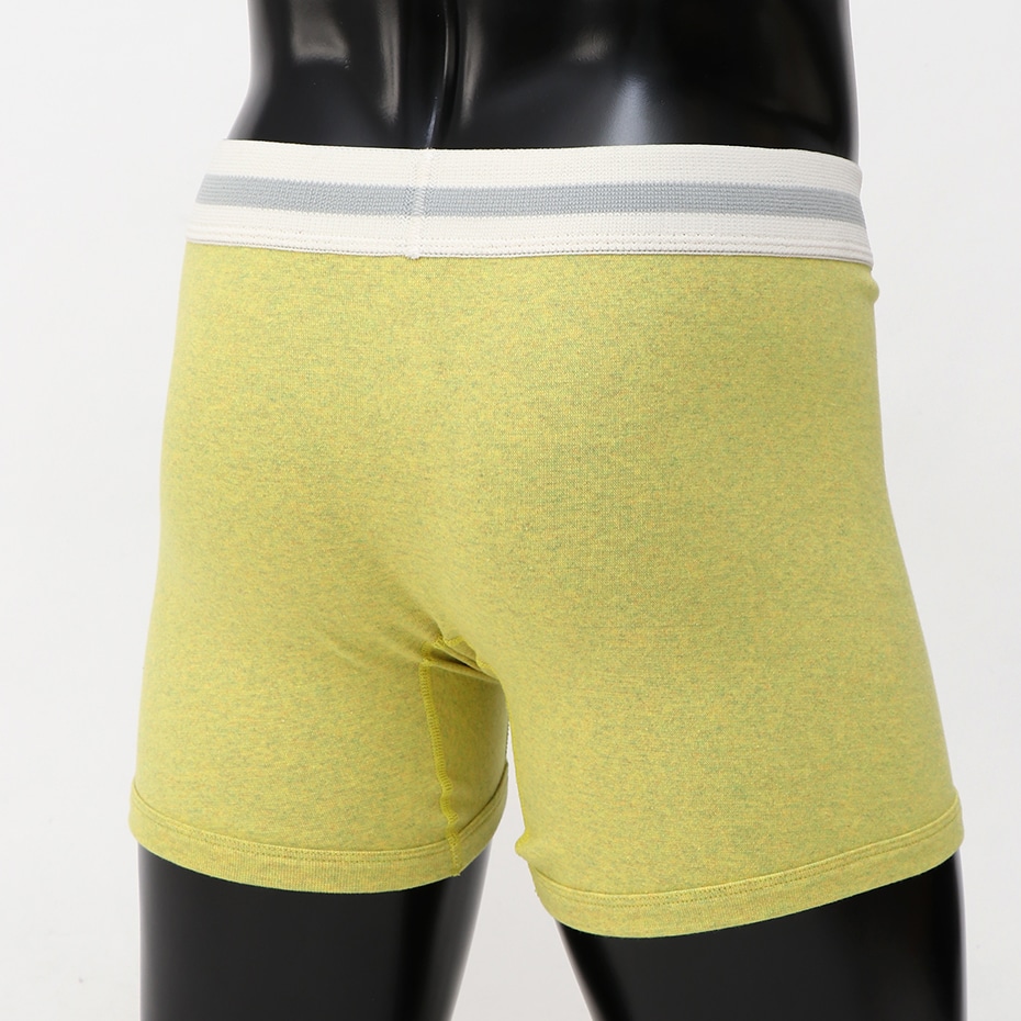 ボクサーブリーフ 19FW Hanes colors ヘインズ(HM6-Q101)