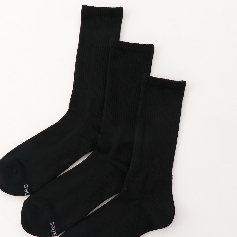 3足組 フルレングスソックス アシソコロゴ【ハーフパイル】19FW ヘインズ(HMSCN001S)