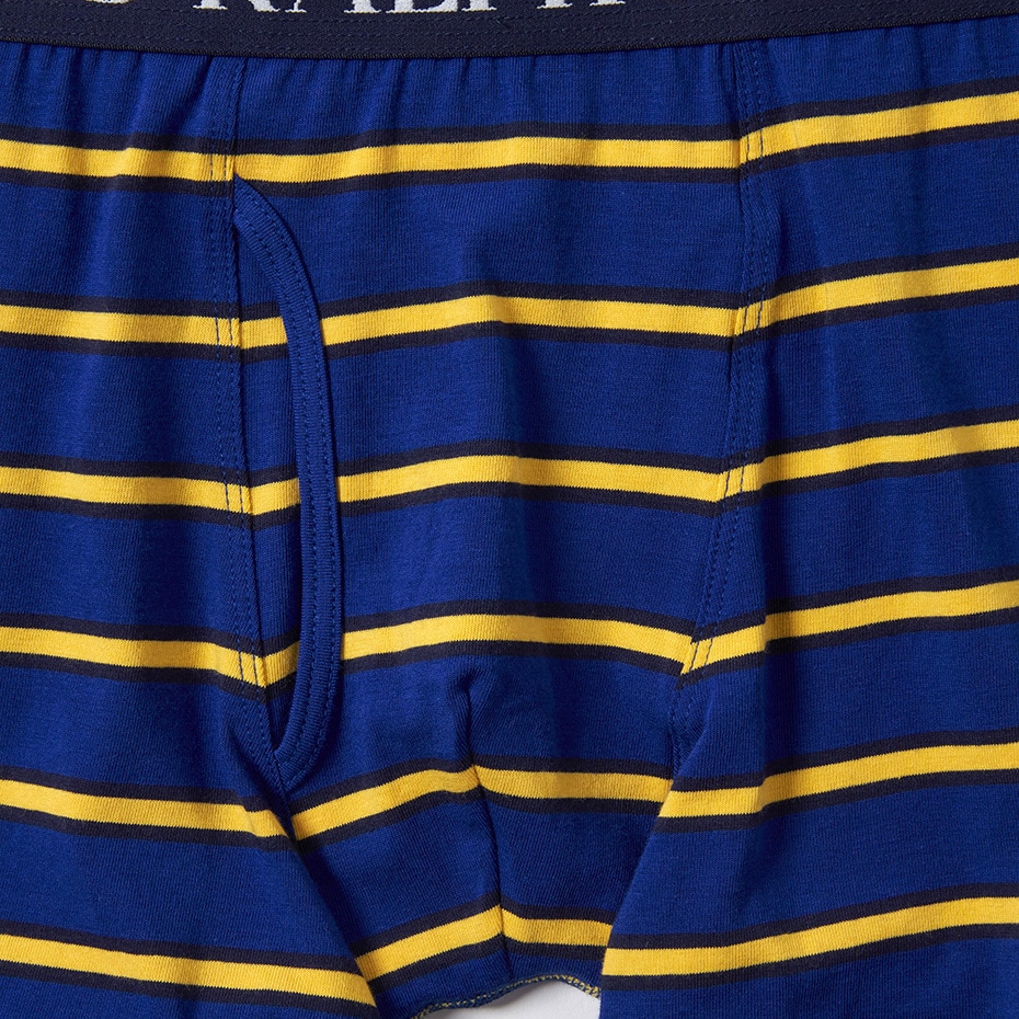 Multi Stripe ボクサーブリーフ 20FW ポロ ラルフ ローレン【前開き】(RM3-P303)