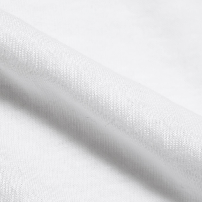 大きいサイズ 【2枚組】男着魂 クルーネックTシャツ 17FW 魂シリーズ ヘインズ(HM1-G701)
