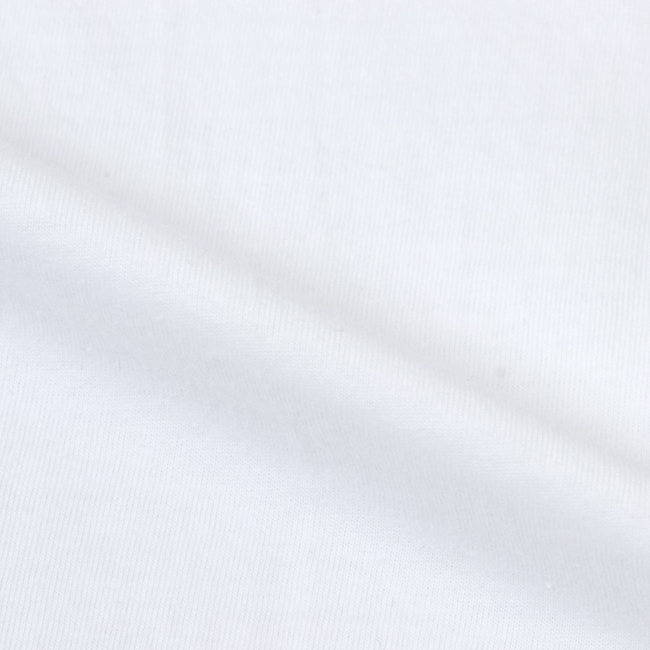 X-TEMP VネックTシャツ 19FW ヘインズ(HM1EM202)