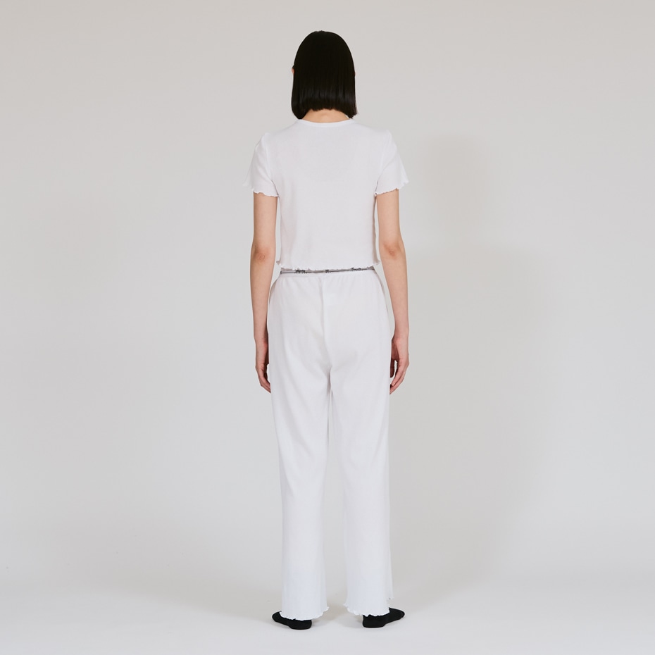 Hanes originalsクロップTシャツ by THE DODO JEAN 25FW ヘインズ(HW1-C101)