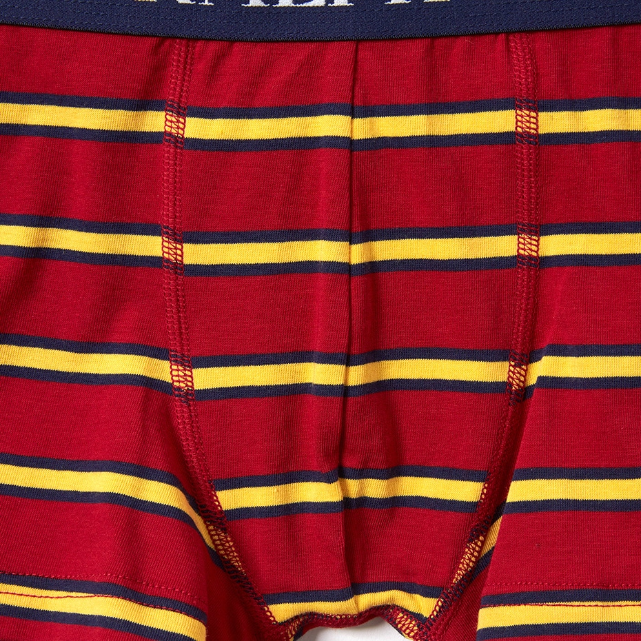 Multi Stripeローライズボクサー 20FW ポロ ラルフ ローレン【前閉じ】(RM3-P303L)
