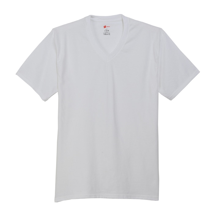 【2枚組】リングスパンVネックTシャツ 17FW グローバルバリューライン ヘインズ(HM1EG704)