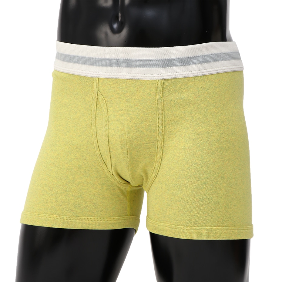ボクサーブリーフ 19FW Hanes colors ヘインズ(HM6-Q101)